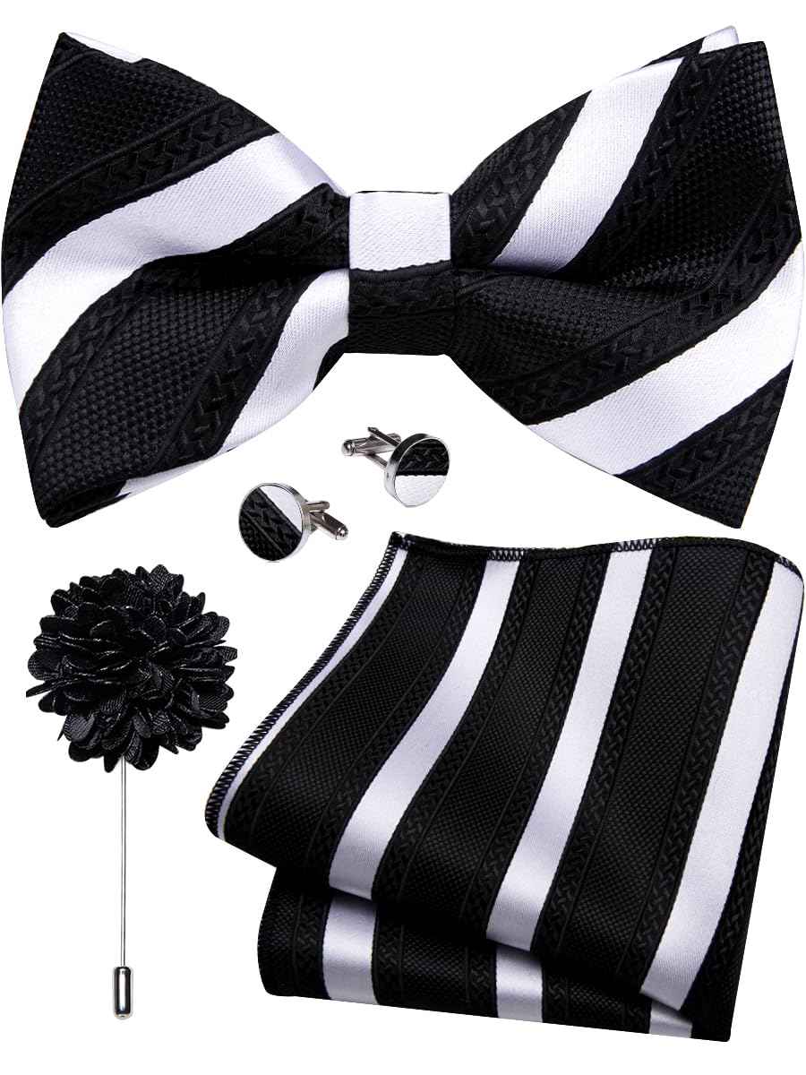 YourTies Silk Bow Ties for Men Pre-Tied Adjustable Paisley Bowtie Set