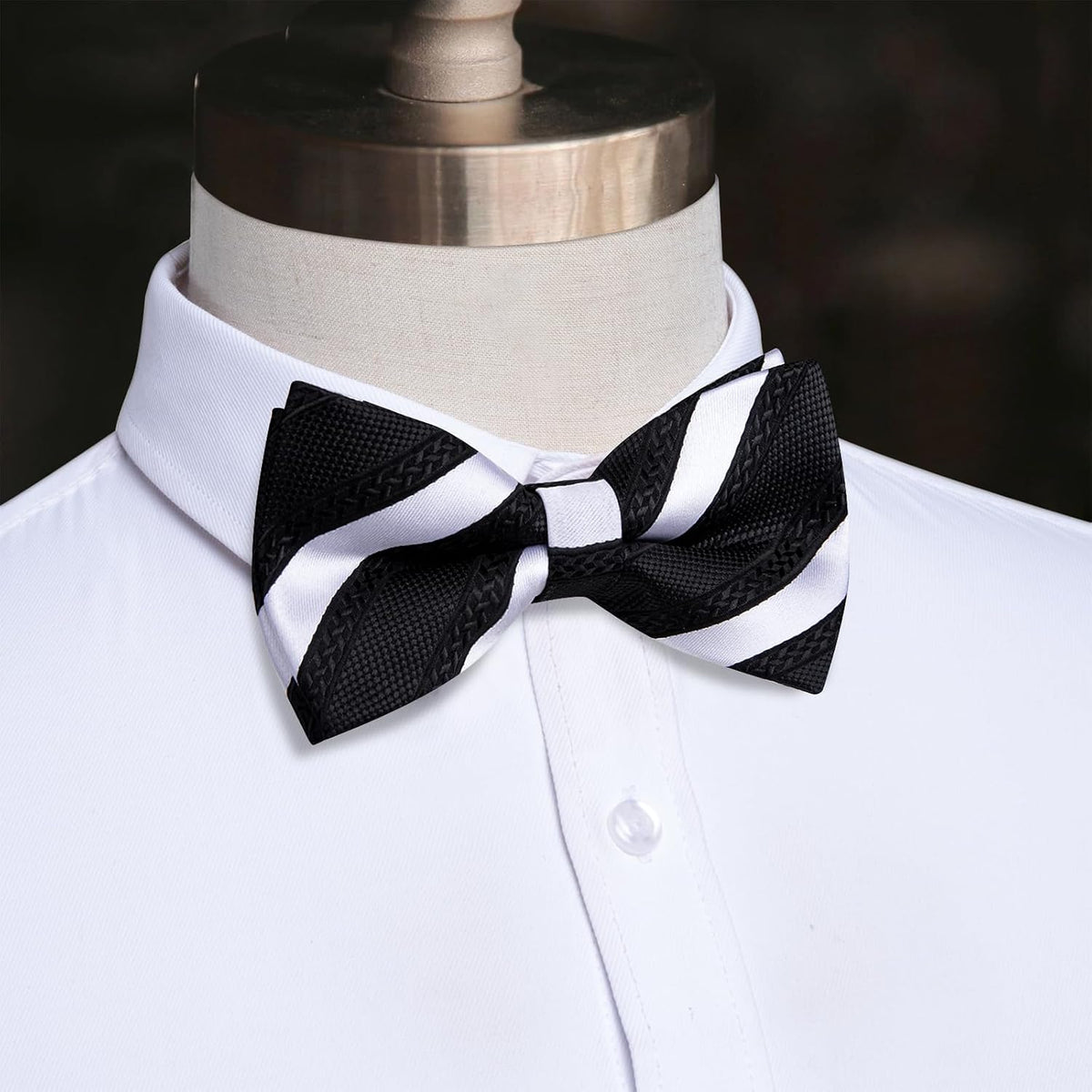 YourTies Silk Bow Ties for Men Pre-Tied Adjustable Paisley Bowtie Set
