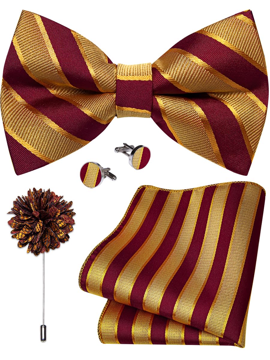 YourTies Silk Bow Ties for Men Pre-Tied Adjustable Paisley Bowtie Set