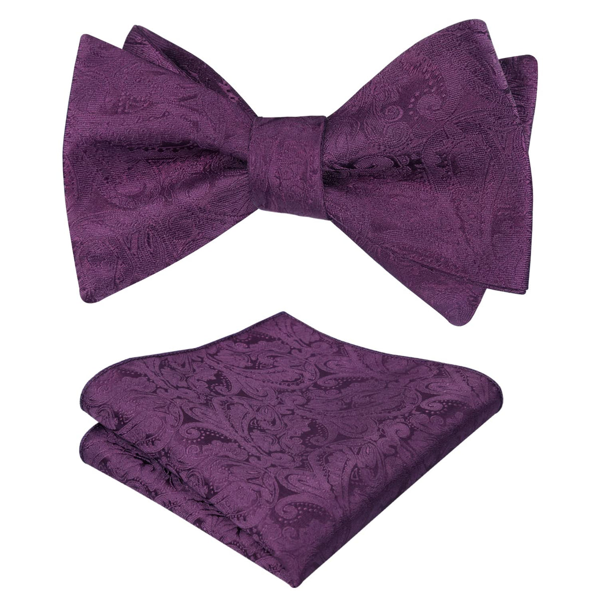 Alizeal Mens 2pcs Paisley Jacquard Bow Tie Set