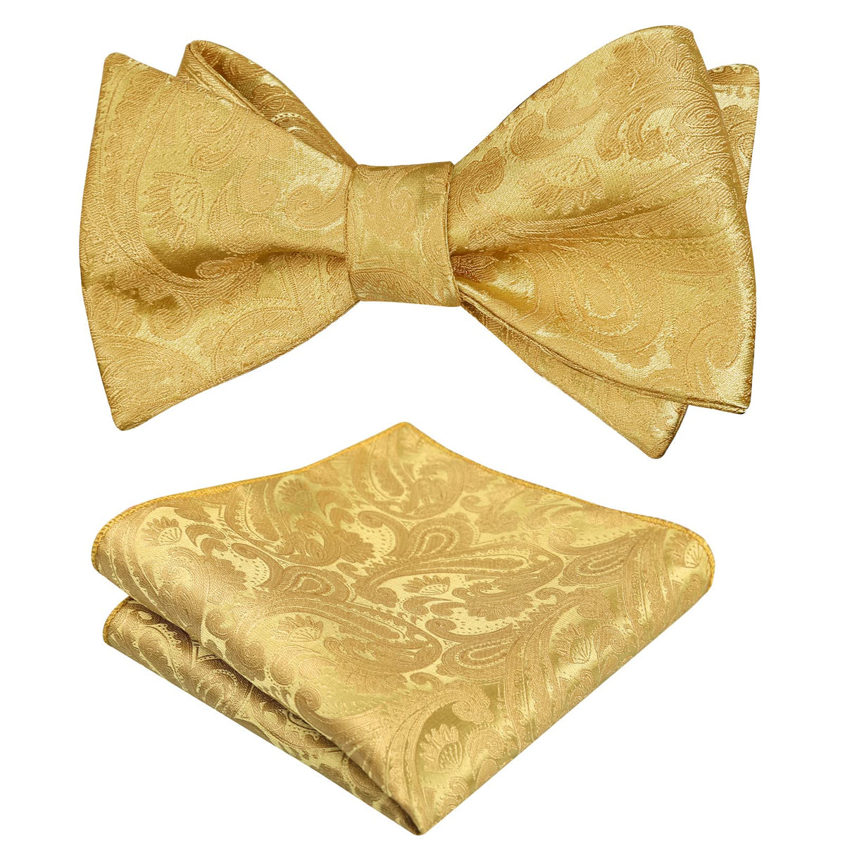 Alizeal Mens 2pcs Paisley Jacquard Bow Tie Set