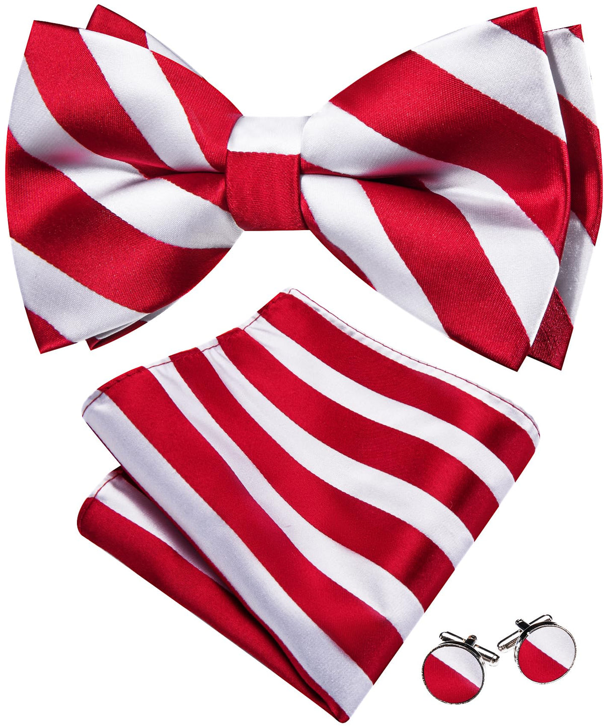 Barry.Wang Paisley Striped Bow Tie for Men Silk Pre-Tied Bowtie Set
