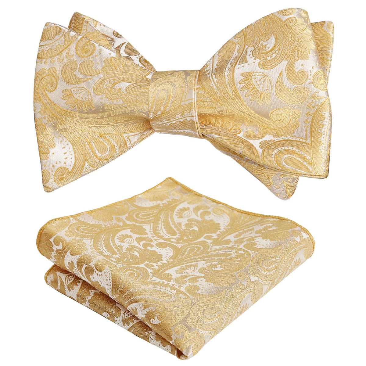 Alizeal Mens 2pcs Paisley Jacquard Bow Tie Set